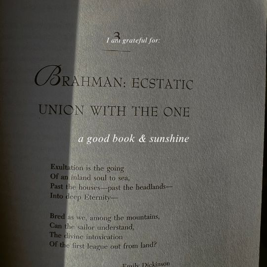 A book page with sunshine on it. The text says: I am grateful for a good book and sunshine.